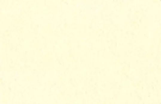 Чернила на спиртовой основе Sketchmarker 20 мл Цвет Шампань