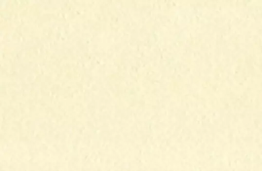 Чернила на спиртовой основе Sketchmarker 20 мл Цвет Клён