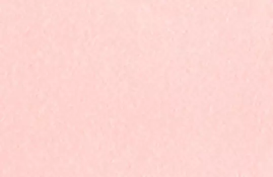 Чернила на спиртовой основе Sketchmarker 22 мл Цвет Поросячий розовый