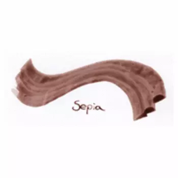 Чернила Talens 11 мл Сепия