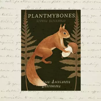 Деревянная брошка Дворникова А. "Белочка"