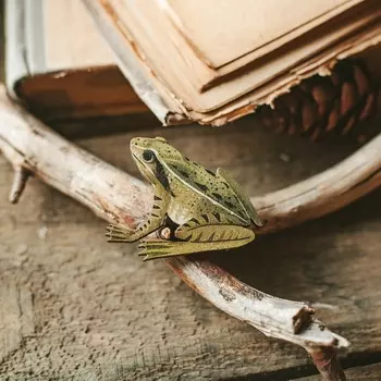 Деревянная брошка Дворникова А. "Лягушка"