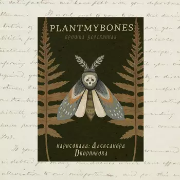 Деревянная брошка Дворникова А. "Мотылек"