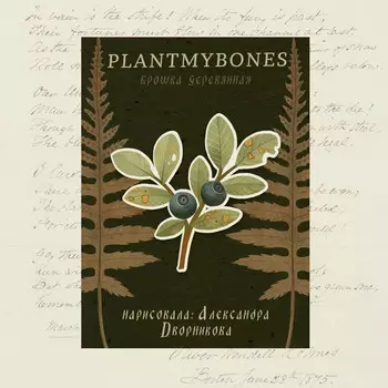 Деревянная брошка Дворникова А. "Веточка черники"