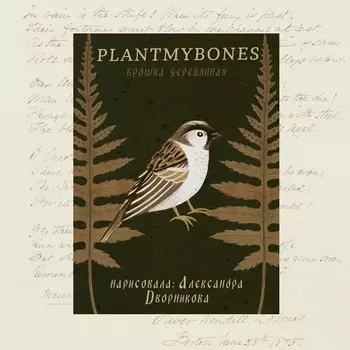 Деревянная брошка Дворникова А. "Воробей"