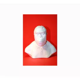 Гипс Бюст Австралопитека "Черная речка"