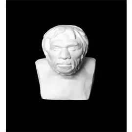 Гипс Бюст Неандертальца