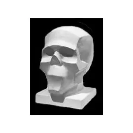 Гипс Череп обобщенных плоскостей