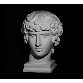 Гипс Голова Антиноя