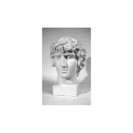 Гипс Голова Антиноя (бол.) h.мм