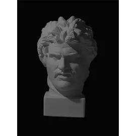 Гипс Голова Галла