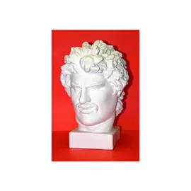 Гипс Голова Галла "Черная речка"