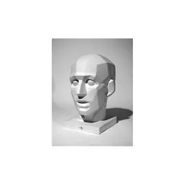 Гипс Голова обобщ.плоскостей h-300 мм