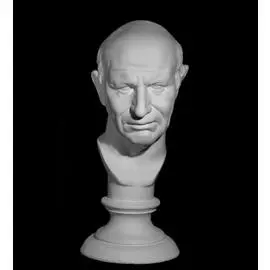 Гипс Голова римлянина