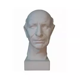 Гипс Голова Римского Гражданина