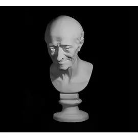 Гипс Голова Вольтера