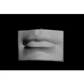 Гипс Губы Давида