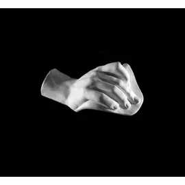 Гипс Кисть Давида