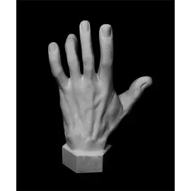 Гипс Кисть вертикальная