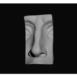 Гипс Нос Давида