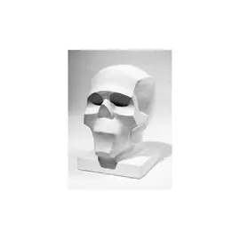 Гипс Обрубовка черепа