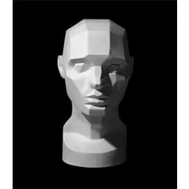 Гипс Обрубовка по Асаро