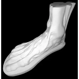 Гипс Стопа анатомическая