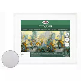 Холст грунтованный на картоне Гамма "Студия" 40х50 см