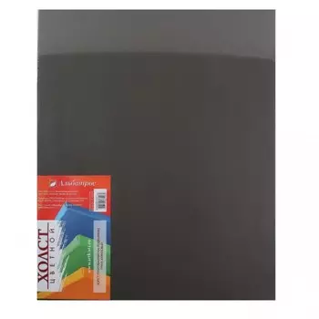 Холст на подрамнике Альбатрос 40х50 см, грунт черный, хлопок 100%