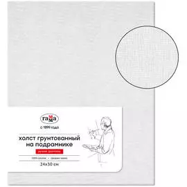 Холст на подрамнике Гамма 24х30 см, 100% хлопок, среднее зерно, масляный грунт, ручная грунтовка