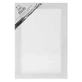 Холст на подрамнике грунтованный Малевичъ 20x30 см 280 г хлопок