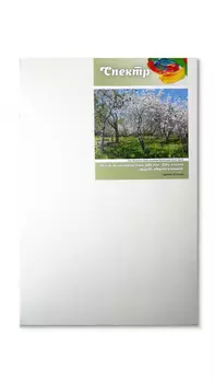 Холст на подрамнике грунтованный Реалистик СПЕКТР крупнозернистый 20х25 см