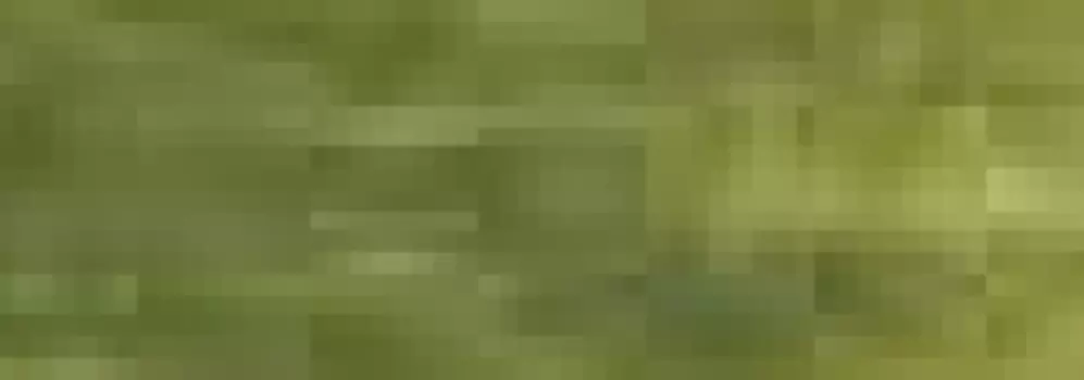 Карандаш Derwent "Studio" Оливково-зеленый