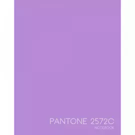 Книга для записей, евротетрадь А5 167х210 мм 96 л 60 г, Фиалковые сны