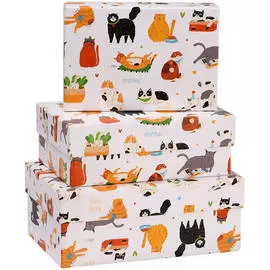 Коробка прямоугольная MESHU 17*11*6 см