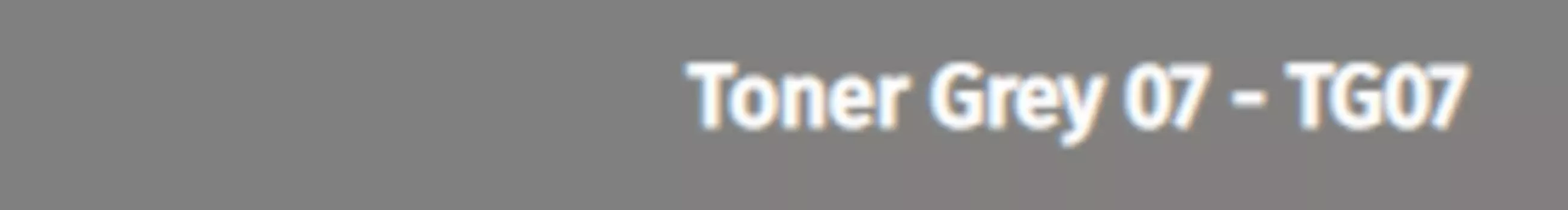 Маркер акриловый Graphmaster 1 мм TG07 серый тонер