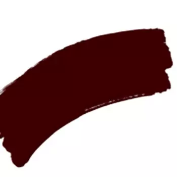 Маркер акриловый Liquitex "Paint marker Fine" 2 мм, Умбра жженая