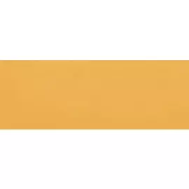 Маркер акварельный Talens "Ecoline" кисть №231 охра золотая