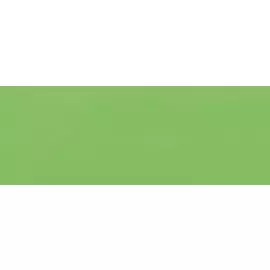 Маркер акварельный Talens "Ecoline" кисть №601 светло-зеленый