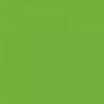 Маркер акварельный ZIG Art &amp; Graphic Twin кисть+тонкое перо, цвет Майский зеленый