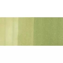 Маркер COPIC CIAO G21