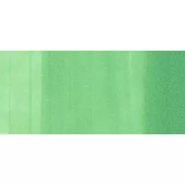 Маркер COPIC CIAO YG09 зеленый салат