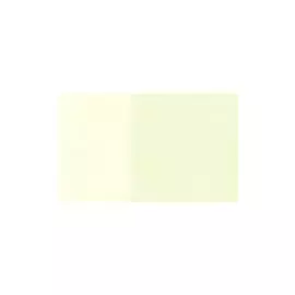 Маркер двухсторонний на спиртовой основе Sketchmarker Brush Цвет Фисташковый