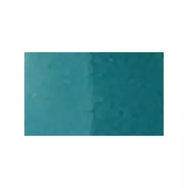 Маркер двухсторонний на спиртовой основе Sketchmarker Brush Цвет Галапагосский зеленый