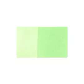 Маркер двухсторонний на спиртовой основе Sketchmarker Brush Цвет Ньянза