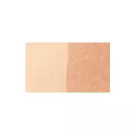 Маркер двухсторонний на спиртовой основе Sketchmarker Brush Цвет Овсянка