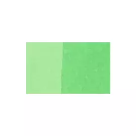 Маркер двухсторонний на спиртовой основе Sketchmarker Brush Цвет Пастельный зеленый