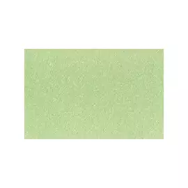 Маркер двухсторонний на спиртовой основе Sketchmarker Цвет Богомол