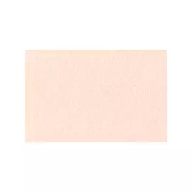 Маркер двухсторонний на спиртовой основе Sketchmarker Цвет Розовое шампанское