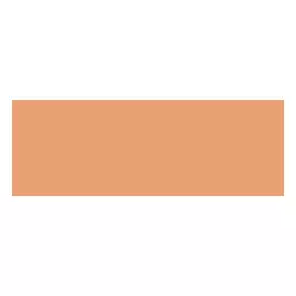 Маркер двухсторонний на спиртовой основе Stylefile Brush №210 коричневый